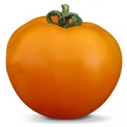 Семена оранжевого томата Айсан (KS 18 F1) фирмы Китано